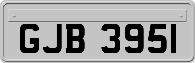 GJB3951