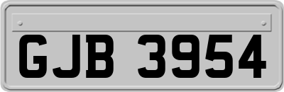 GJB3954