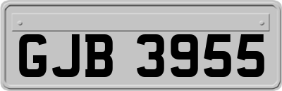 GJB3955