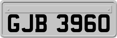 GJB3960