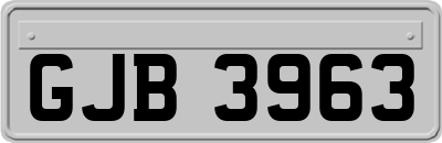 GJB3963
