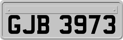 GJB3973