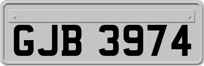 GJB3974