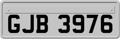 GJB3976