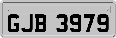 GJB3979
