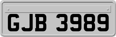 GJB3989