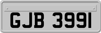 GJB3991