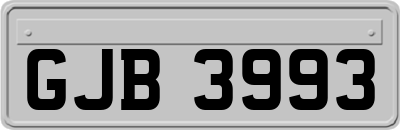 GJB3993