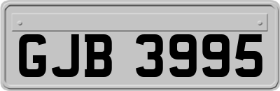 GJB3995