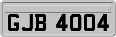 GJB4004