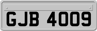 GJB4009