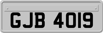 GJB4019
