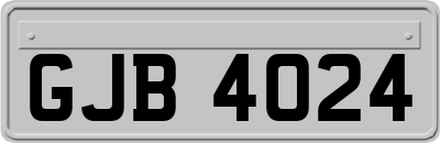 GJB4024