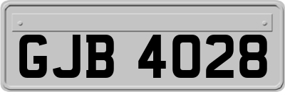 GJB4028