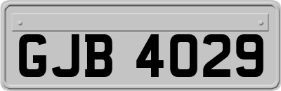GJB4029