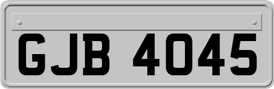 GJB4045