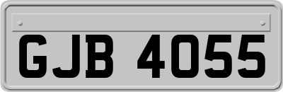 GJB4055