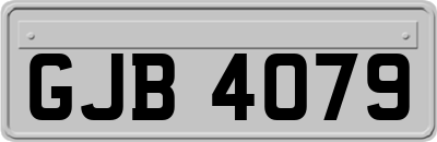 GJB4079
