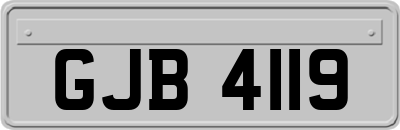 GJB4119