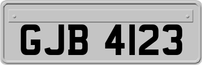 GJB4123