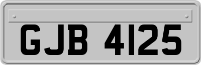 GJB4125