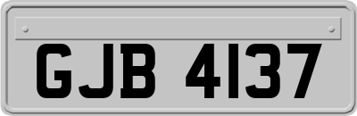 GJB4137
