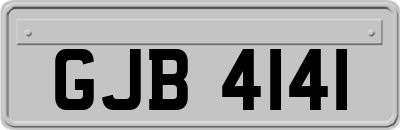 GJB4141