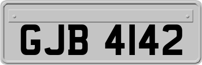 GJB4142