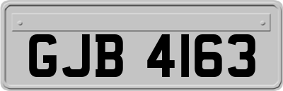 GJB4163