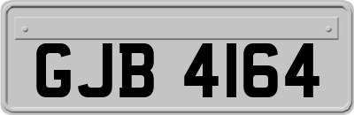 GJB4164