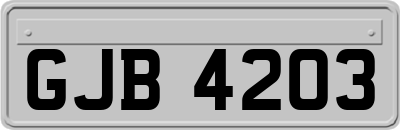 GJB4203