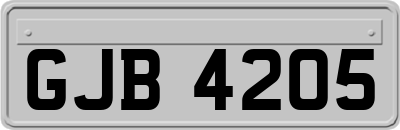 GJB4205