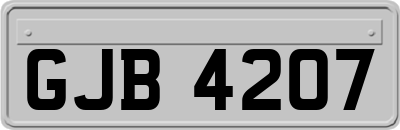 GJB4207