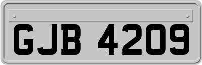 GJB4209
