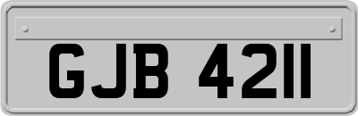 GJB4211