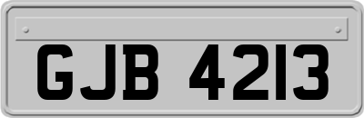 GJB4213
