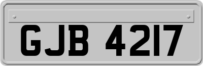 GJB4217