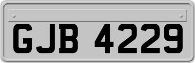 GJB4229