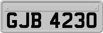 GJB4230