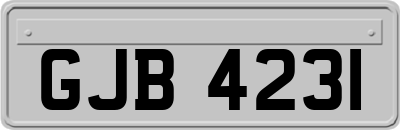 GJB4231