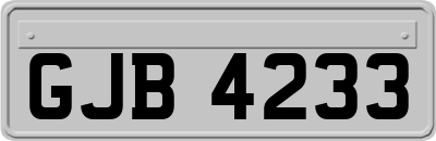GJB4233