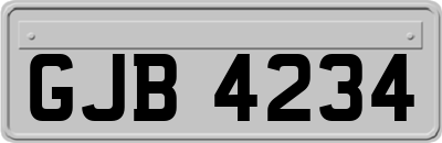 GJB4234