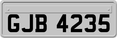 GJB4235