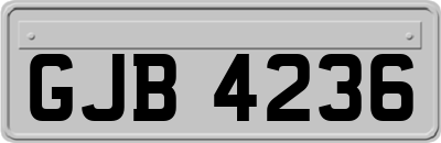 GJB4236