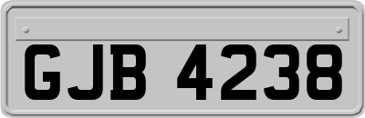 GJB4238