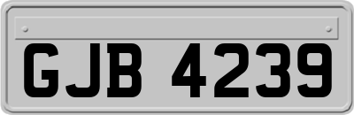 GJB4239