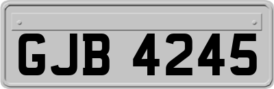 GJB4245