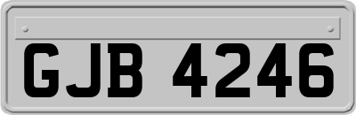 GJB4246