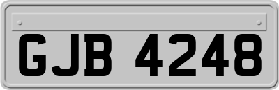 GJB4248