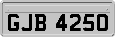 GJB4250